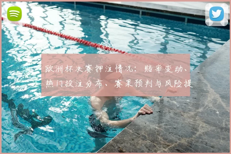 欧洲杯决赛押注情况：赔率变动、热门投注分布、赛果预判与风险提示